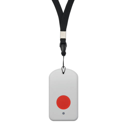 LBT1 product photo