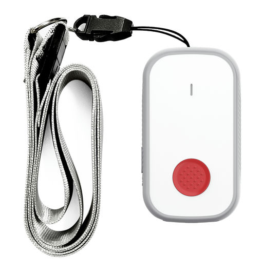 LW004 - Panic Button product photo