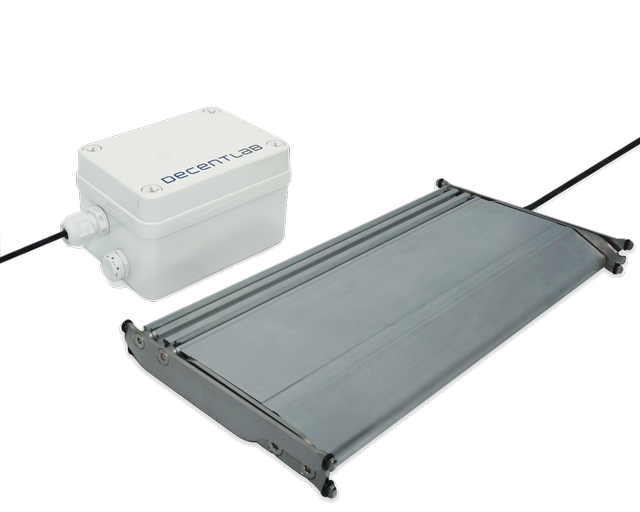 DL-DWS - Weighing Scale product photo